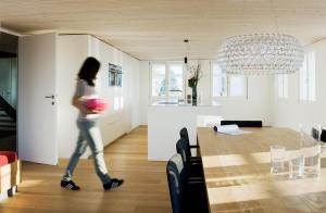 Mesmerhaus vendégei