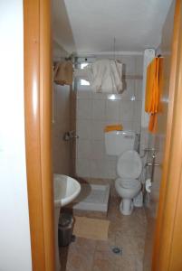 a small bathroom with a toilet and a sink at Anestis Apartments & rooms in Paleo Tsifliki +34 photos