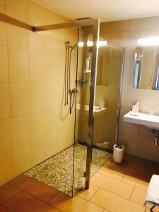 um chuveiro com uma porta de vidro na casa de banho em Hotel Kreuz em Holderbank
