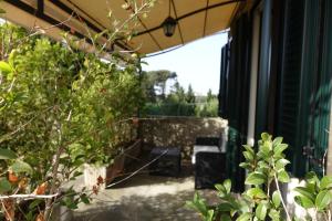 Zahrada ubytování Casina Romita