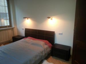 1 dormitorio con 1 cama y 2 luces en la pared en Przy Rynku, en Gliwice