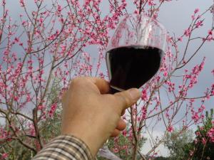 una persona con una copa de vino tinto en Sossego en Pedrógão Grande