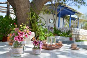 Fotografie z fotogalerie ubytování Vichou rooms v destinaci Adamas