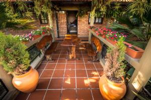 a courtyard with benches and potted plants and a fountain at Hosteria del Prado in Salta
