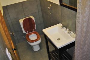 a small bathroom with a toilet and a sink at La Patagonia Secreta in Villa Pehuenia