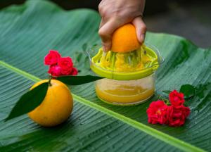 a person holding an orange in a cup on a banana leaf at Yangshuo Yunshe Mountain Guesthouse in Yangshuo