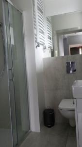 W łazience znajduje się prysznic, toaleta i umywalka. w obiekcie Pokoje Stare Miasto w mieście Zamość