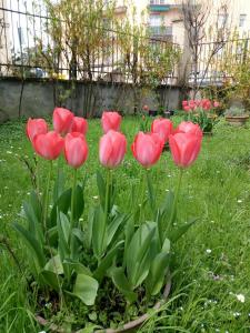 Zahrada ubytování B&B delle Arti