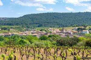 Gallery image of Château Ciceron in Ribaute