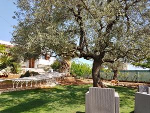 un'amaca sotto un albero in un cortile di B&B All'ombra degli ulivi a Ostuni