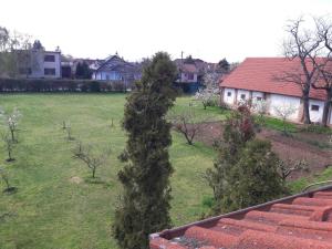 Fotografia z galérie ubytovania Villa Kysucka v Senci