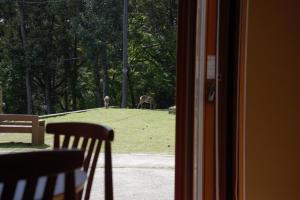 a view of two deer in a field from a window at Mountain Home Lodge in Deer Park in Nara