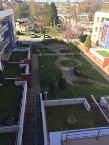Vonkajšia záhrada v ubytovaní Apartament Halina