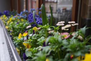 Jardí fora de Jugendgästehaus Bad Ischl