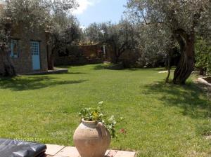 Zahrada ubytování Agriturismo Il Vecchio Casale