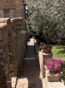 Zahrada ubytování Agriturismo Il Vecchio Casale