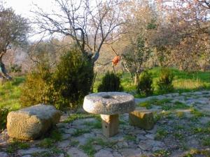 Zahrada ubytování Agriturismo Il Vecchio Casale
