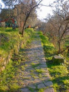 Zahrada ubytování Agriturismo Il Vecchio Casale