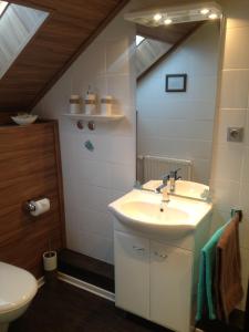 a bathroom with a sink and a mirror at Pension Ulrich in Dahlem
