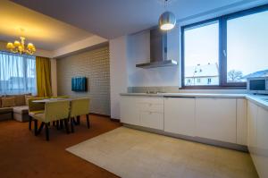 Kuchyň nebo kuchyňský kout v ubytování Apart Hotel Vlad Tepes