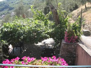 基亞瓦里的住宿－B&B La Luna，一座种有粉红色花卉和围栏的花园