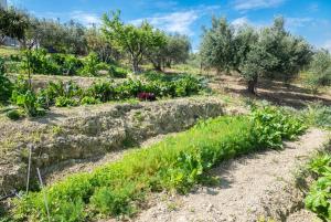 Vrt ispred objekta Muses Panoramic View, Minutes from Knossos Minoan Palace