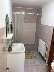 a bathroom with a shower and a sink and a shower at Homestay Marius in Sibiu