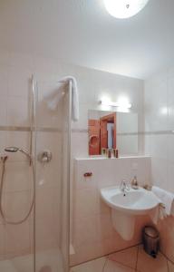 a bathroom with a shower and a sink at Ferienwohnung Alte Hofmark Neumayer in Bad Birnbach