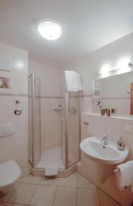 een badkamer met een douche, een wastafel en een toilet bij Ferienwohnung Alte Hofmark Neumayer in Bad Birnbach
