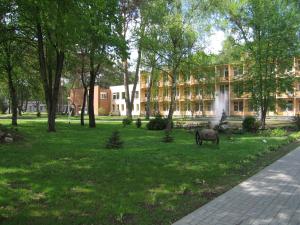 Zahrada ubytování Hotel Dainava