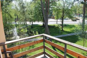 Zahrada ubytování Hotel Dainava
