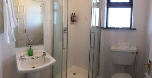 a bathroom with a shower and a sink and a toilet at Tigh Fitz Bed & Breakfast in Inis Mor