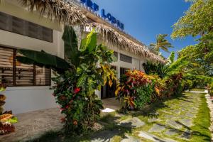 Photo de la galerie de l'établissement El Encuentro Surf Lodge, à Cabarete