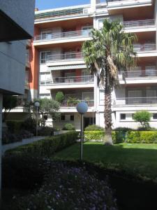 een palmboom voor een groot gebouw bij Residencial Progreso Sanxenxo in Sanxenxo