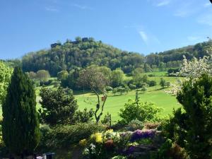 a view of a hill with a green field and trees at Hegau-Lounge-Bodensee in Mühlhausen-Ehingen