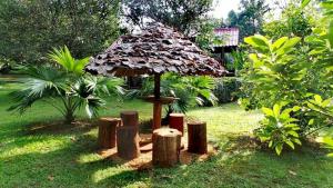 Zahrada ubytování Pencave Homestay