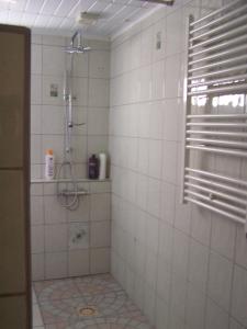 a bathroom with a shower with a window and white tiles at Gite en Forterre in Druyes-les-Belles-Fontaines