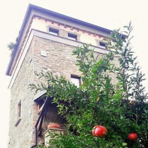 bedizzoleにあるB&B I Melograniのリンゴの木が目の前にある建物