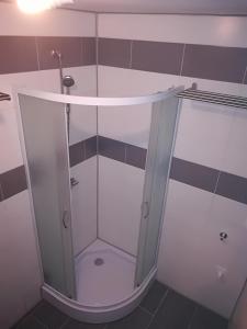 a shower with a glass door in a bathroom at Top Line Apartments in Piran +14 photos