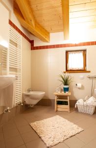 ein Bad mit einem WC und einem Waschbecken in der Unterkunft Hotel Chalet Giasenei in Sagron Mis