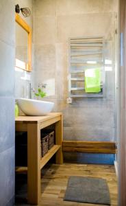a bathroom with a sink and a shower at Domek Skowronek z basenem in Lesko