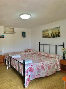 Gallery image of Conti Holiday Homes in Ponza