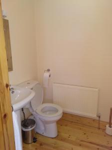 a bathroom with a toilet and a sink at Townhouse 4 Barrow Lane in Carlow +19 photos