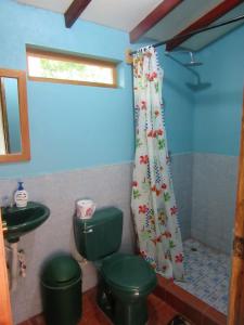 a bathroom with a green toilet and a shower curtain at Caballito's Mar in Mérida