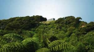 Příroda nedaleko prázdninového domu