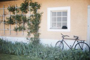 Jazda na bicykli v okolí ubytovania Schloss Pesenbach Chalet im Freizeitland Feldkirchen an der Donau