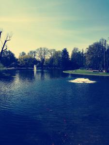 Naturlandskabet i nærheden af lejligheden