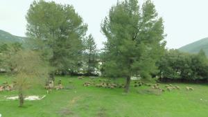 Gallery image of Gite Saint CLAIR - Escapade à Signes in Signes