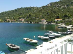 a group of boats docked in a body of water at Sunny Apartment Octopus in Prožura