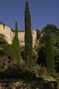 un grupo de tres árboles y un muro de piedra en Hostellerie Le Roy Soleil, en Ménerbes